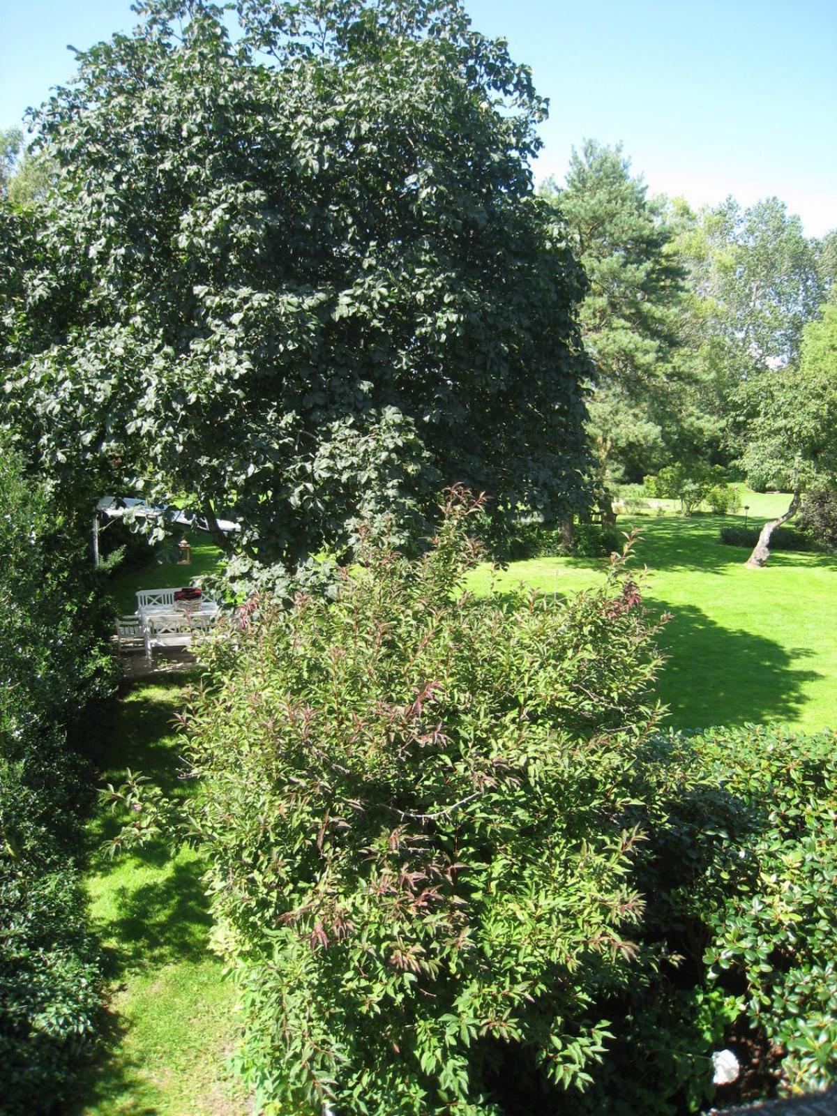 Nabolos Rooms Bovense Экстерьер фото